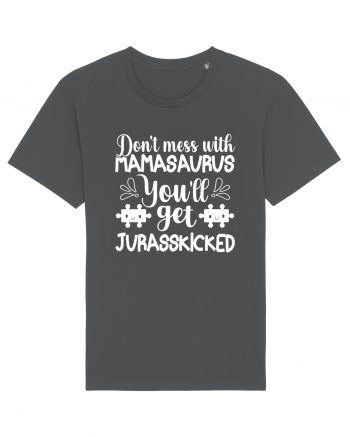Don't Mess With Mamasaurus You'll Get Jurasskicked Anthracite