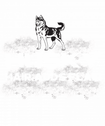 HUSKY