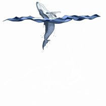 whale in minde
