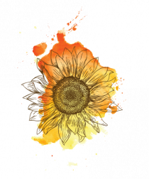 Floarea Soarelui Abstract