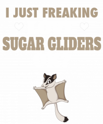 SUGAR GLIDERS