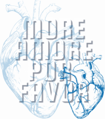 more amore por favor