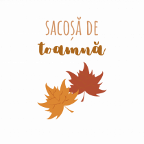 Sacoșă de toamnă.