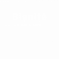 Bișniță (business pe română)