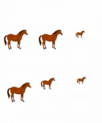 HORSES