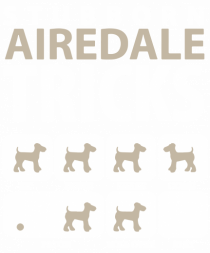 AIRDALE