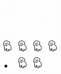 MALTESE