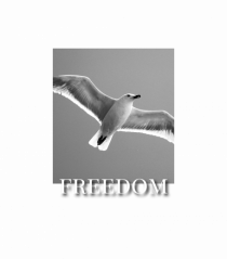 FREEDOM