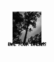 LIVE YOUR DREAMS