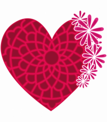 Valentine's Love Heart Daisies