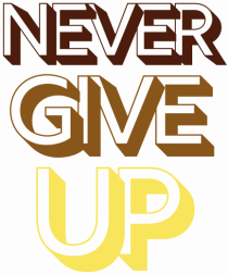 Never Give Up