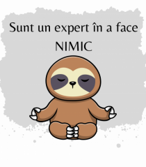 SUNT UN EXPERT IN A FACE NIMIC