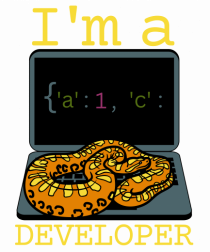 I'm A Python Developer