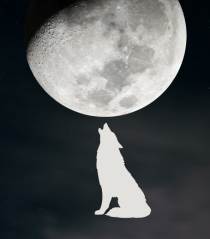 MOON - WOLF