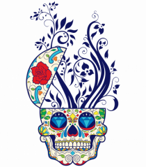 Mexican Skull