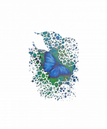 Fluture albastru Morpho desen manual animale rare