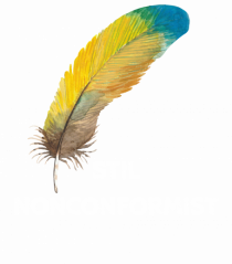 STIL NONCONFORMIST