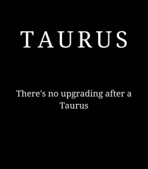 Taurus 389