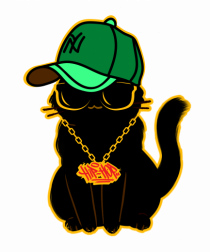 Hip Hop Cat 