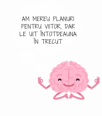 AM MEREU PLANURI PENTRU VIITOR