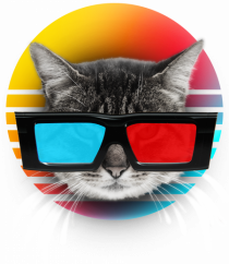 3D cat