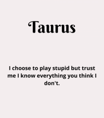 Taurus 408