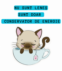 CONSERVATOR DE ENERGIE