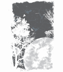 Full Moon Crow