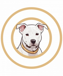 Dogo Argentino