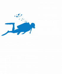 DIVE