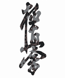 Kyokushin Karate Kanji