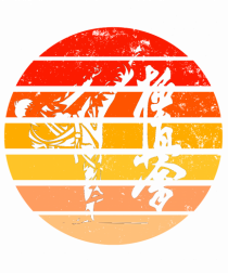 Kyokushin Karate 