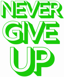 Never Give Up