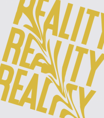 reality6