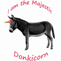 A Donkicorn
