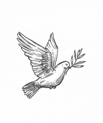 Columbofil  Un Mod De Viata  o Pasiune 