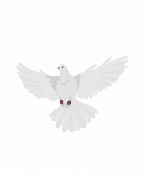 Columbofil,Un Mod De Viata  O Pasiune