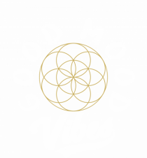 Good Mood Vibes