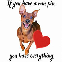 Pinscher love