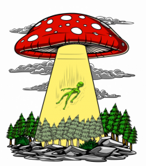 Alien Abduction Magic Mushroom Psychedelic