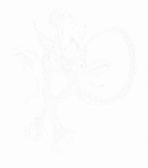 Alien Xenomorph Illustration