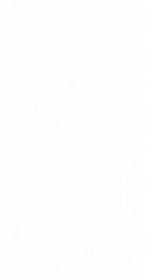 alien skull with ribs/white