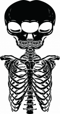 alien skull with ribs/balck