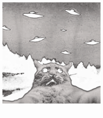 Alien UFO Funny Cat
