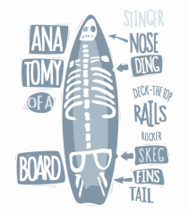 Anatomy Of A Surfboard