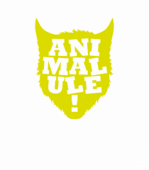 Animalule