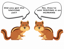 Vaccination