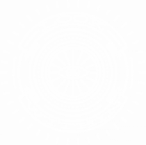 Look Within -  white