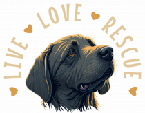 Live Love Rescue - dog 4