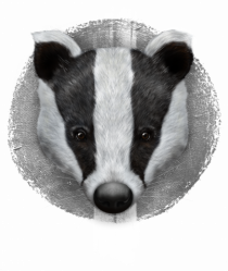 Badger